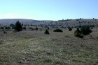 DSCN3028.JPG